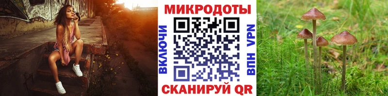 Псилоцибиновые грибы прущие грибы Лабинск