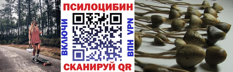 кракен как зайти  Лабинск  Псилоцибиновые грибы ЛСД 